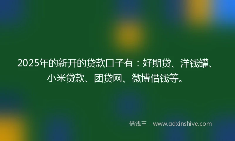 2025年的新开的贷款口子有：好期贷、洋钱罐、小米贷款、团贷网、微博借钱等。