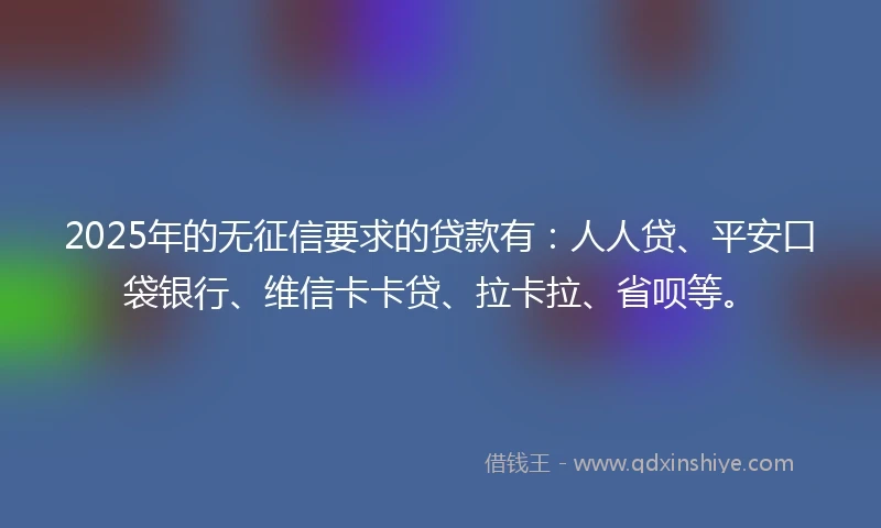 2025年的无征信要求的贷款有：人人贷、平安口袋银行、维信卡卡贷、拉卡拉、省呗等。