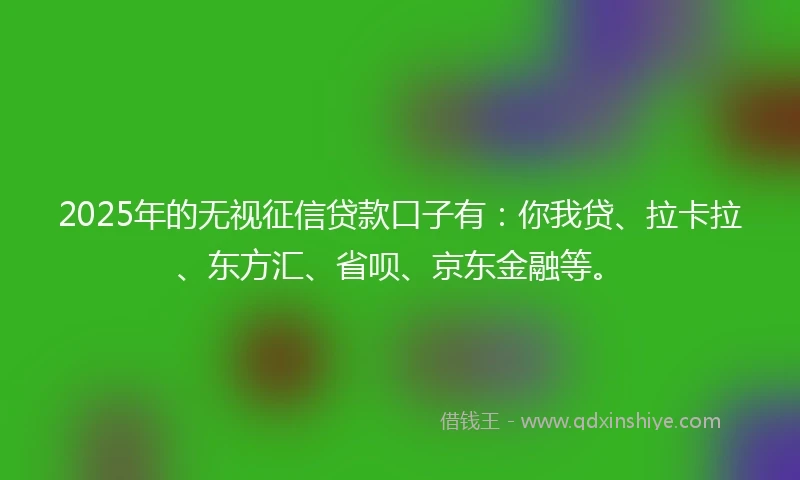 2025年的无视征信贷款口子有：你我贷、拉卡拉、东方汇、省呗、京东金融等。
