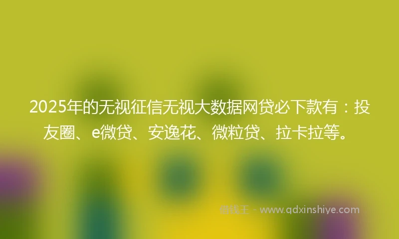 2025年的无视征信无视大数据网贷必下款有：投友圈、e微贷、安逸花、微粒贷、拉卡拉等。