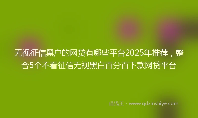 无视征信黑户的网贷有哪些平台2025年推荐，整合5个不看征信无视黑白百分百下款网贷平台