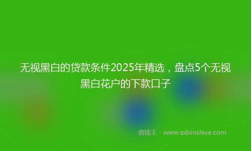 无视黑白的贷款条件2025年精选，盘点5个无视黑白花户的下款口子
