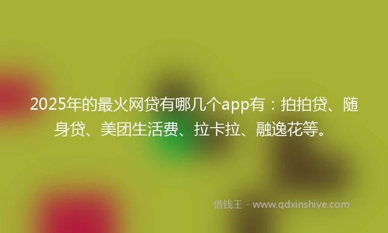 2025年的最火网贷有哪几个app有：拍拍贷、随身贷、美团生活费、拉卡拉、融逸花等。