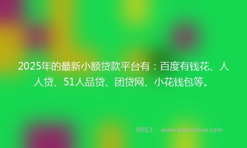 2025年的最新小额贷款平台有：百度有钱花、人人贷、51人品贷、团贷网、小花钱包等。