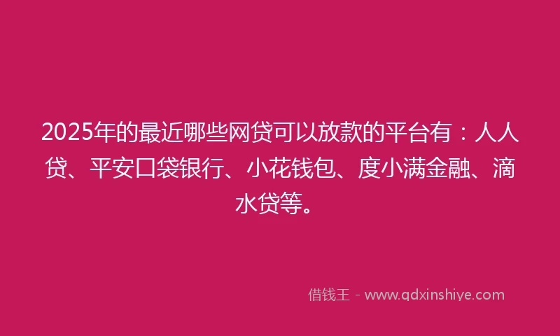 2025年的最近哪些网贷可以放款的平台有：人人贷、平安口袋银行、小花钱包、度小满金融、滴水贷等。