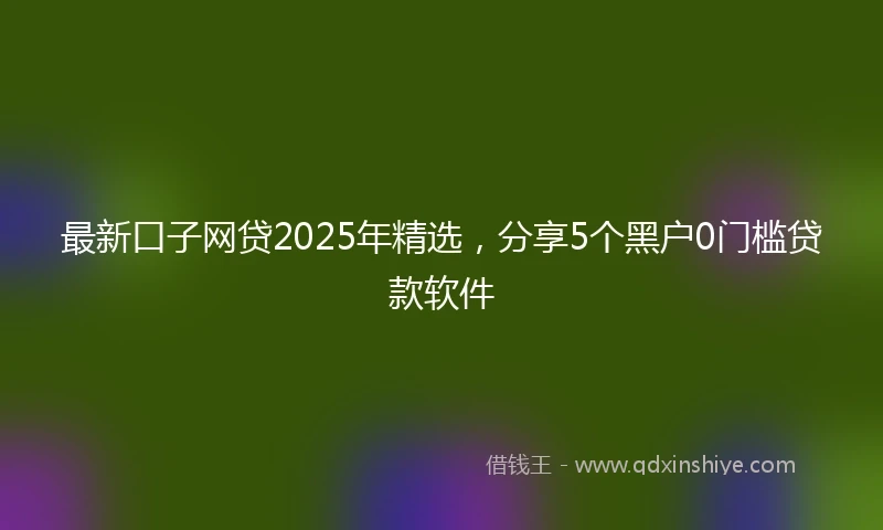 最新口子网贷2025年精选，分享5个黑户0门槛贷款软件
