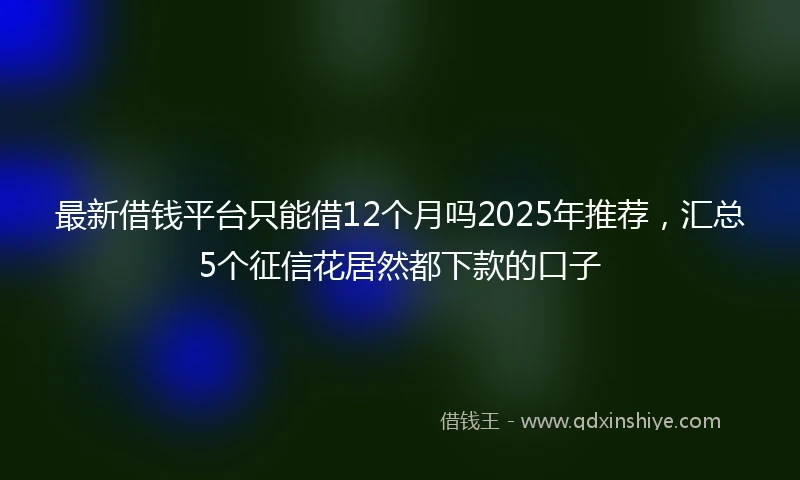 最新借钱平台只能借12个月吗2025年推荐,汇总5个征信花居然都下款的口子