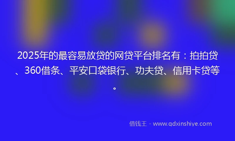 2025年的最容易放贷的网贷平台排名有：拍拍贷、360借条、平安口袋银行、功夫贷、信用卡贷等。
