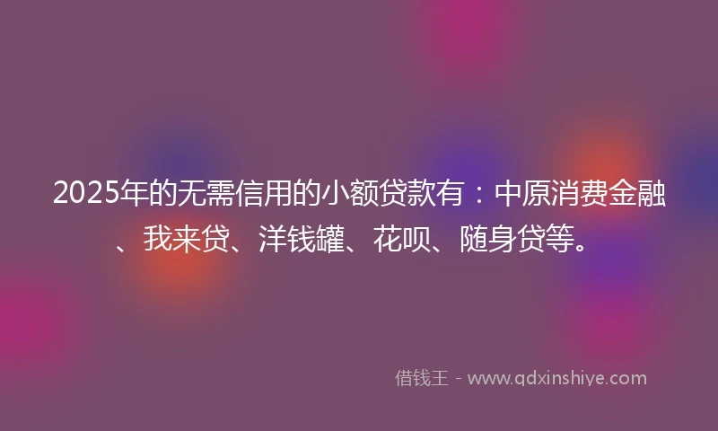 2025年的无需信用的小额贷款有：中原消费金融、我来贷、洋钱罐、花呗、随身贷等。