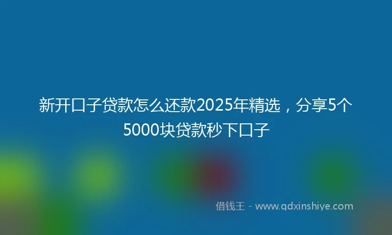 新开口子贷款怎么还款2025年精选，分享5个5000块贷款秒下口子