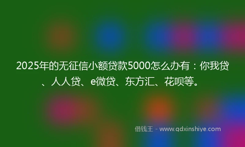 2025年的无征信小额贷款5000怎么办有：你我贷、人人贷、e微贷、东方汇、花呗等。