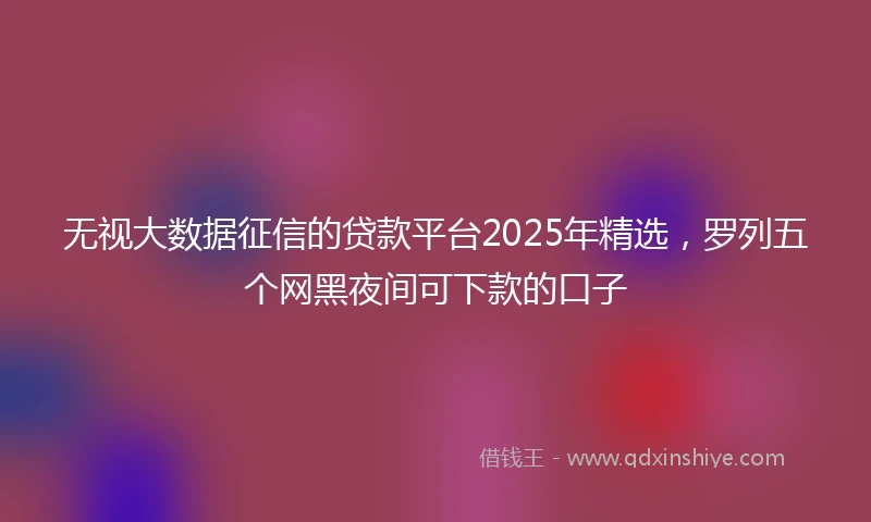 无视大数据征信的贷款平台2025年精选，罗列五个网黑夜间可下款的口子