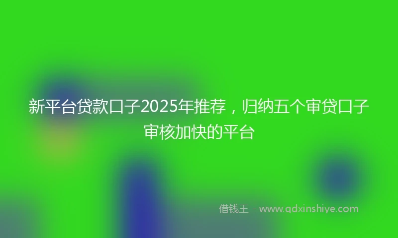 新平台贷款口子2025年推荐，归纳五个审贷口子审核加快的平台