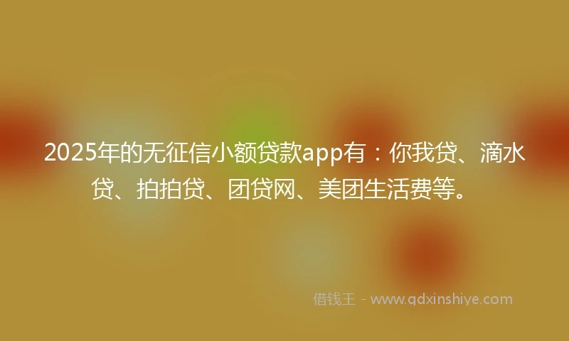 2025年的无征信小额贷款app有：你我贷、滴水贷、拍拍贷、团贷网、美团生活费等。