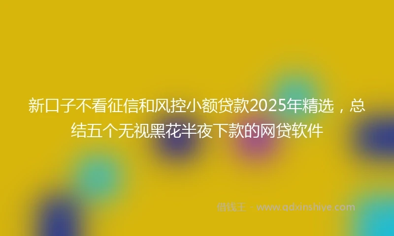 新口子不看征信和风控小额贷款2025年精选，总结五个无视黑花半夜下款的网贷软件