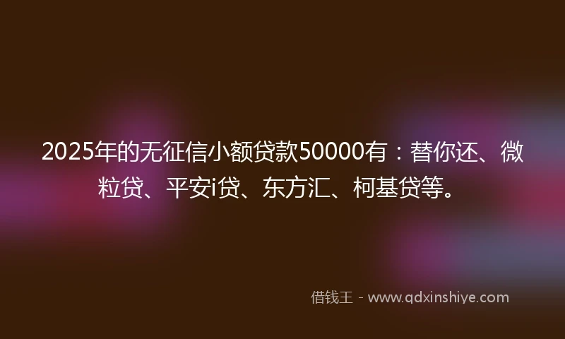 2025年的无征信小额贷款50000有：替你还、微粒贷、平安i贷、东方汇、柯基贷等。