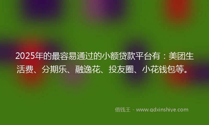2025年的最容易通过的小额贷款平台有：美团生活费、分期乐、融逸花、投友圈、小花钱包等。