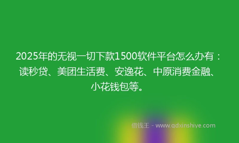 2025年的无视一切下款1500软件平台怎么办有：读秒贷、美团生活费、安逸花、中原消费金融、小花钱包等。