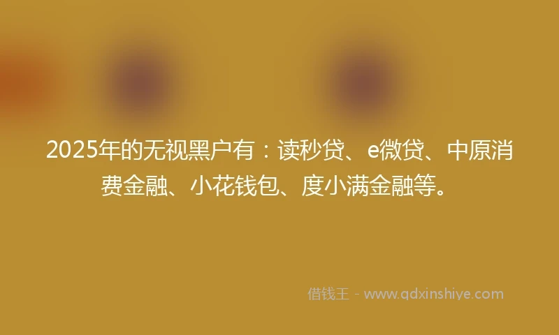 2025年的无视黑户有：读秒贷、e微贷、中原消费金融、小花钱包、度小满金融等。