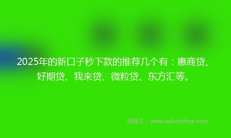 2025年的新口子秒下款的推荐几个有：惠商贷、好期贷、我来贷、微粒贷、东方汇等。