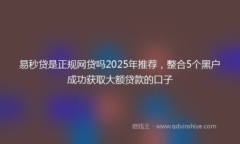 易秒贷是正规网贷吗2025年推荐，整合5个黑户成功获取大额贷款的口子