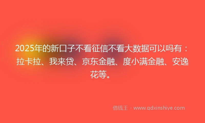 2025年的新口子不看征信不看大数据可以吗有：拉卡拉、我来贷、京东金融、度小满金融、安逸花等。