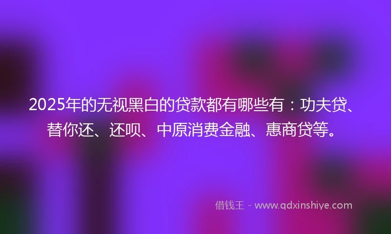 2025年的无视黑白的贷款都有哪些有：功夫贷、替你还、还呗、中原消费金融、惠商贷等。