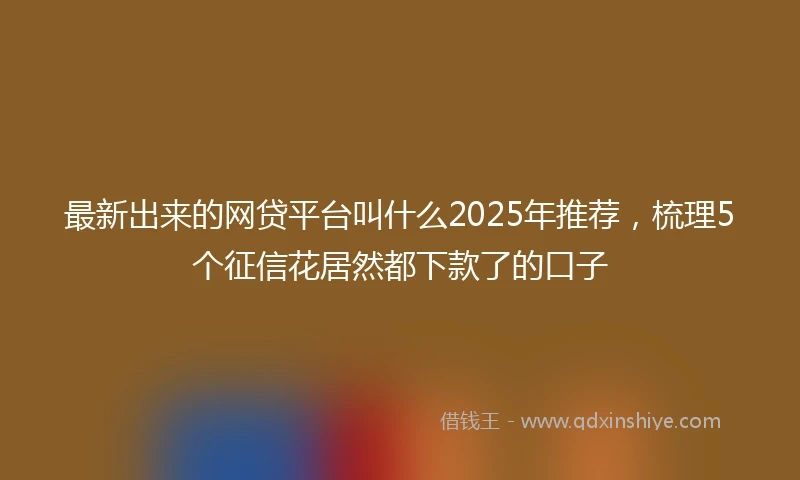 最新出来的网贷平台叫什么2025年推荐，梳理5个征信花居然都下款了的口子