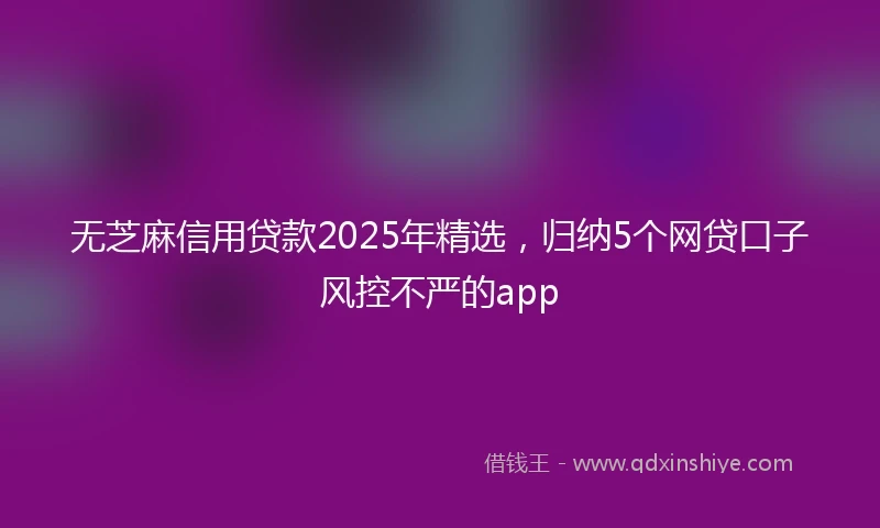 无芝麻信用贷款2025年精选，归纳5个网贷口子风控不严的app