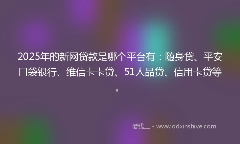2025年的新网贷款是哪个平台有：随身贷、平安口袋银行、维信卡卡贷、51人品贷、信用卡贷等。