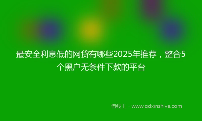 最安全利息低的网贷有哪些2025年推荐，整合5个黑户无条件下款的平台
