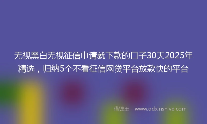 无视黑白无视征信申请就下款的口子30天2025年精选，归纳5个不看征信网贷平台放款快的平台