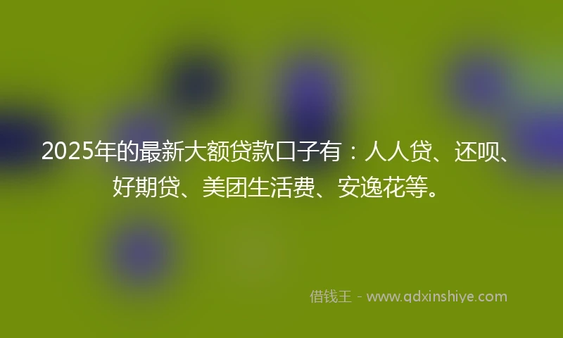 2025年的最新大额贷款口子有：人人贷、还呗、好期贷、美团生活费、安逸花等。