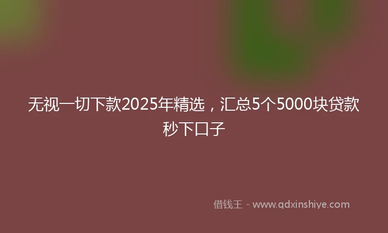 无视一切下款2025年精选，汇总5个5000块贷款秒下口子