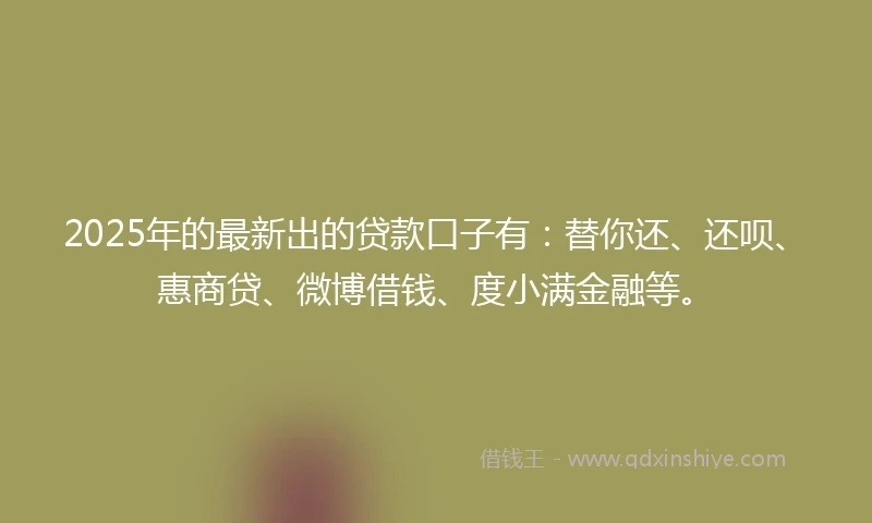2025年的最新出的贷款口子有：替你还、还呗、惠商贷、微博借钱、度小满金融等。