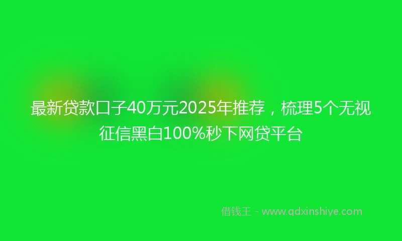 最新贷款口子40万元2025年推荐,梳理5个无视征信黑白100%秒下网贷平台