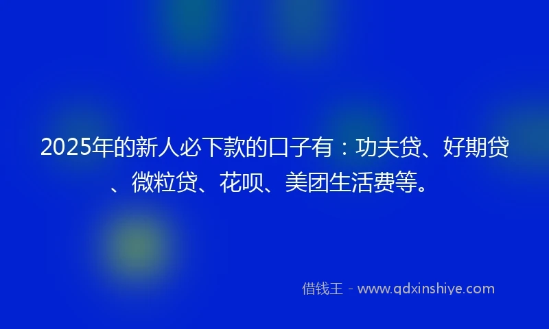 2025年的新人必下款的口子有：功夫贷、好期贷、微粒贷、花呗、美团生活费等。