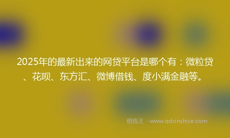 2025年的最新出来的网贷平台是哪个有：微粒贷、花呗、东方汇、微博借钱、度小满金融等。