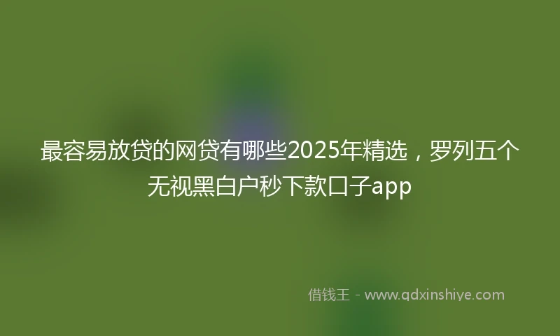 最容易放贷的网贷有哪些2025年精选，罗列五个无视黑白户秒下款口子app