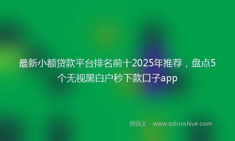 最新小额贷款平台排名前十2025年推荐，盘点5个无视黑白户秒下款口子app