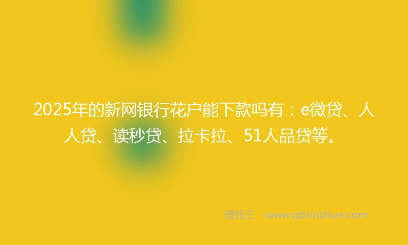 2025年的新网银行花户能下款吗有：e微贷、人人贷、读秒贷、拉卡拉、51人品贷等。