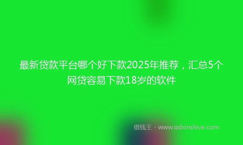 最新贷款平台哪个好下款2025年推荐，汇总5个网贷容易下款18岁的软件