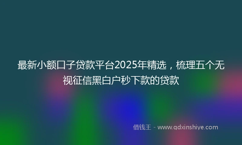 最新小额口子贷款平台2025年精选，梳理五个无视征信黑白户秒下款的贷款
