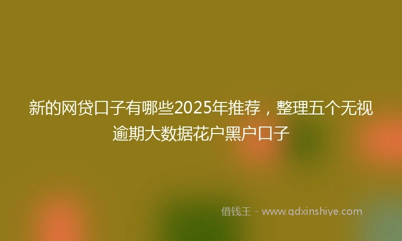 新的网贷口子有哪些2025年推荐，整理五个无视逾期大数据花户黑户口子