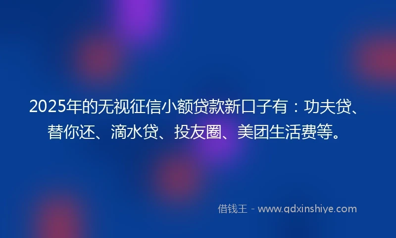 2025年的无视征信小额贷款新口子有：功夫贷、替你还、滴水贷、投友圈、美团生活费等。