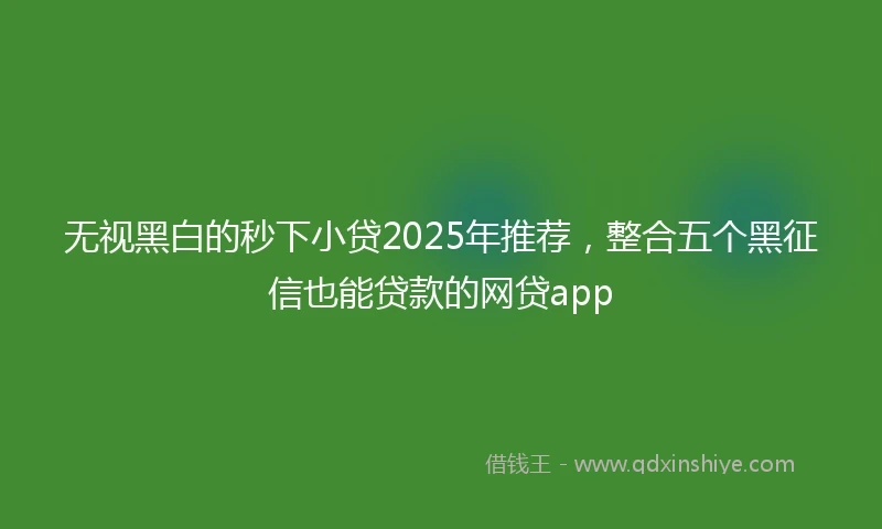 无视黑白的秒下小贷2025年推荐，整合五个黑征信也能贷款的网贷app