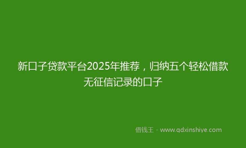 新口子贷款平台2025年推荐，归纳五个轻松借款无征信记录的口子