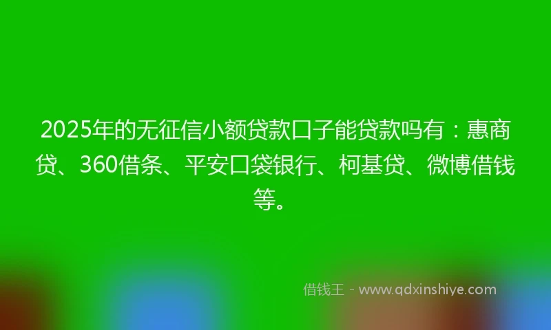 2025年的无征信小额贷款口子能贷款吗有:惠商贷、360借条、平安口袋银行、柯基贷、微博借钱等。