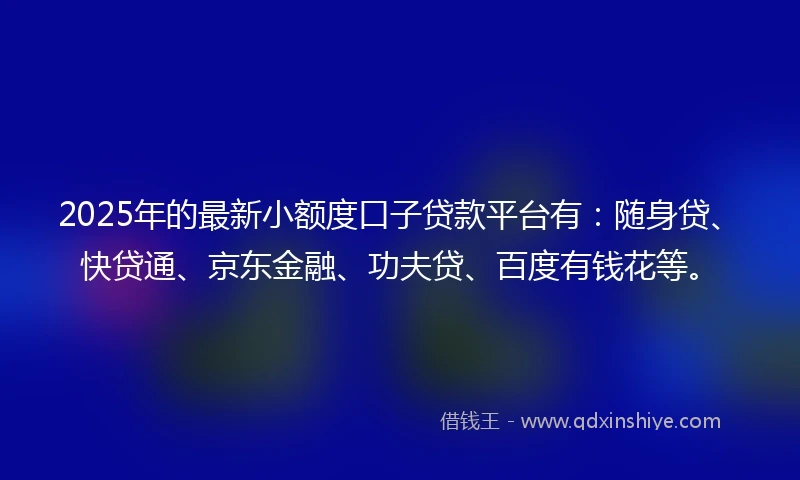 2025年的最新小额度口子贷款平台有：随身贷、快贷通、京东金融、功夫贷、百度有钱花等。
