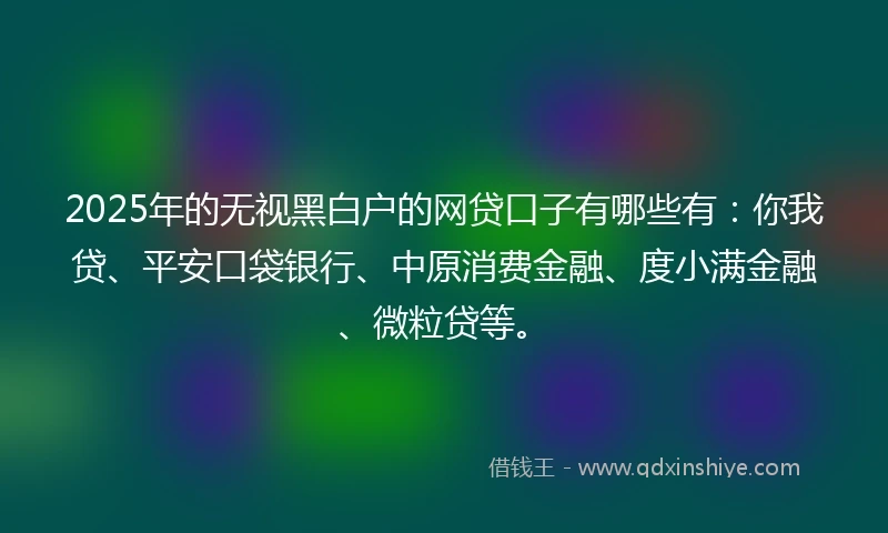 2025年的无视黑白户的网贷口子有哪些有：你我贷、平安口袋银行、中原消费金融、度小满金融、微粒贷等。